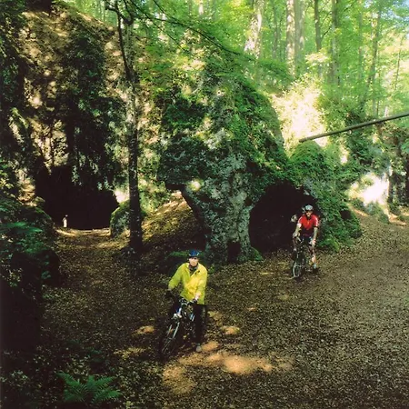 皇冠酒店 Birresborn