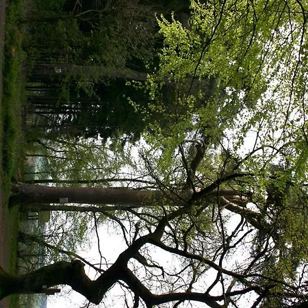 皇冠酒店 3* Birresborn