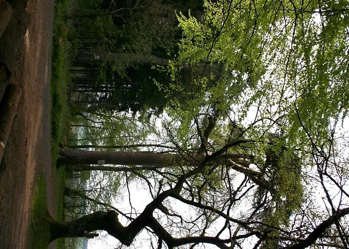 Zur Krone 3* Birresborn